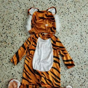 12m s tiger costume